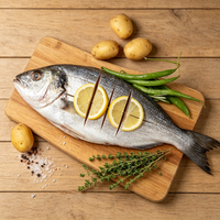 Spanish Mackerel Fillet